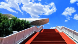 探花视频
